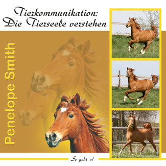 Cover in mittlerer Größe vom CD Tierkommunikation: Die Tierseele verstehen von Smith, Penelope mit der ISBN-13 978-3-926388-93-3